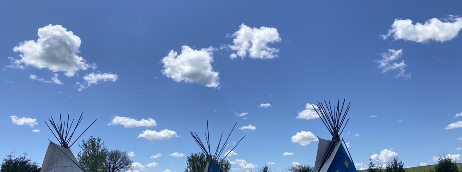 Lakota Youth Development Grapevine